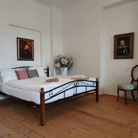 U Synagogy Guest house *